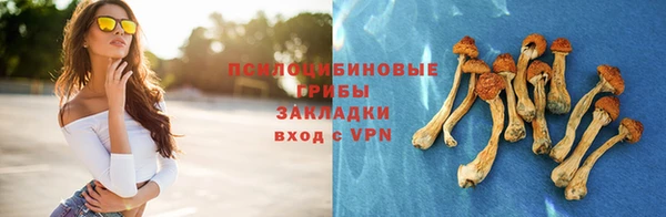 прущая мука Сосновый Бор