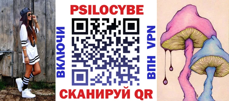 Псилоцибиновые грибы Psilocybe  Купить где  Орёл 